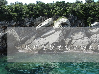 抵押贷款逾期后的拍卖程序 抵押贷款逾期后的拍卖程序