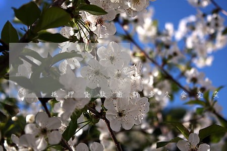 抵押贷款逾期多久会变卖 抵押贷款逾期多久会变卖