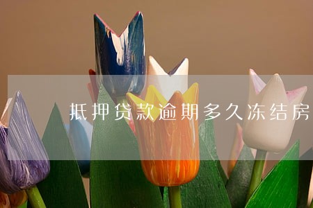 抵押贷款逾期多久冻结房产