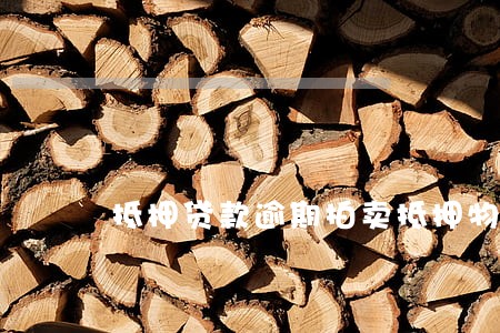 抵押贷款逾期拍卖抵押物 抵押贷款逾期拍卖抵押物