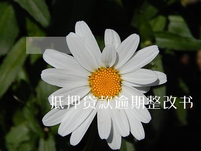 抵押贷款逾期整改书 抵押贷款逾期整改书