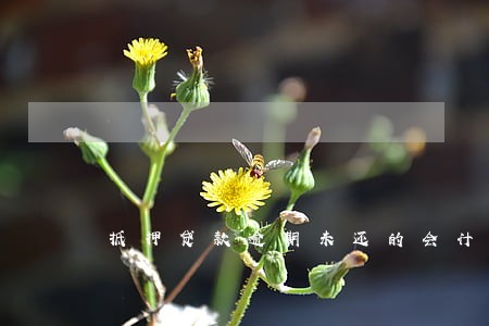 抵押贷款逾期未还的会计分录