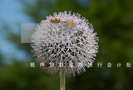 抵押贷款逾期银行会计处理 抵押贷款逾期银行会计处理