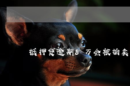 抵押贷逾期8万会被拍卖 抵押贷逾期8万会被拍卖