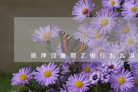 抵押贷逾期了银行怎么没有行动 抵押贷逾期了银行怎么没有行动