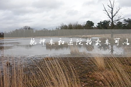 抵押车和法院拍卖车可以买吗