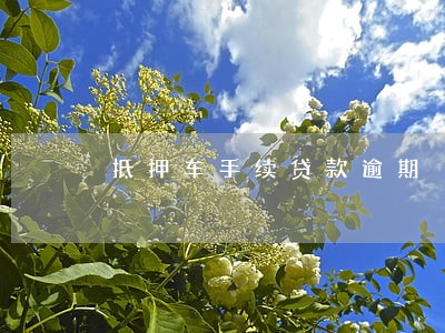 抵押车手续贷款逾期 抵押车手续贷款逾期