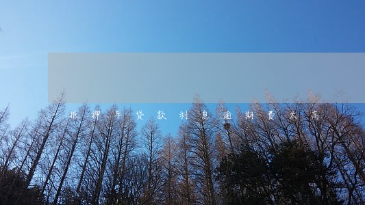 抵押车贷款利息逾期费太高 抵押车贷款利息逾期费太高