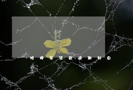 抵押车贷款逾期利息 抵押车贷款逾期利息