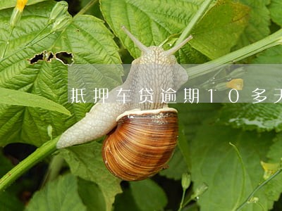 抵押车贷逾期10多天被开走了 抵押车贷逾期10多天被开走了
