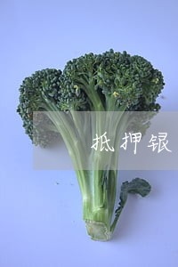 抵押银行贷款有逾期 抵押银行贷款有逾期