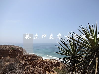 抵质押类零售贷款逾期超过 抵质押类零售贷款逾期超过