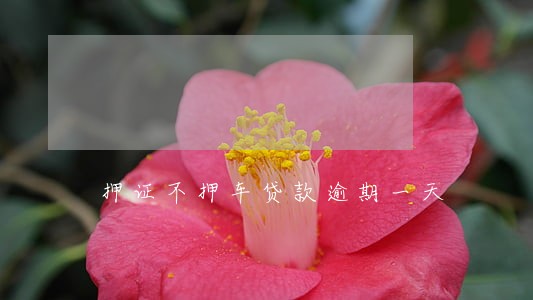 押证不押车贷款逾期一天 押证不押车贷款逾期一天