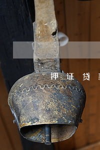 押证贷款信用卡逾期可以做吗