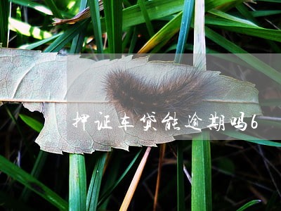 押证车贷能逾期吗6 押证车贷能逾期吗6