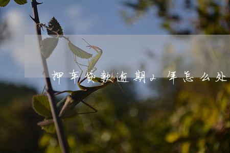 押车贷款逾期2年怎么处理 押车贷款逾期2年怎么处理
