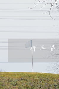 押车贷款逾期半个月 押车贷款逾期半个月