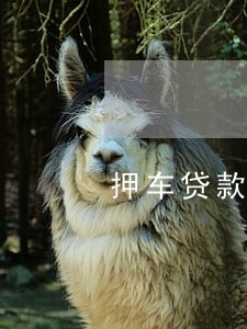 押车贷款逾期怎么算 押车贷款逾期怎么算