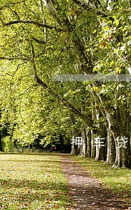 押车贷款逾期报警有用吗 押车贷款逾期报警有用吗