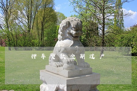 押车贷款逾期过户 押车贷款逾期过户