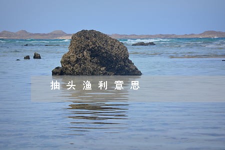 抽头渔利意思 抽头渔利意思
