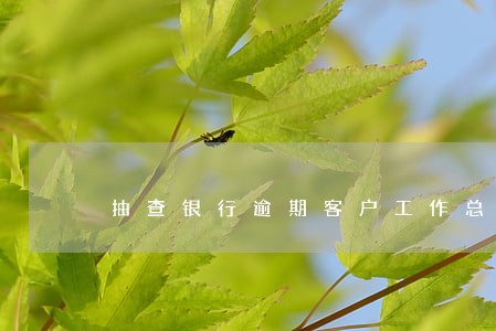 抽查银行逾期客户工作总结 抽查银行逾期客户工作总结