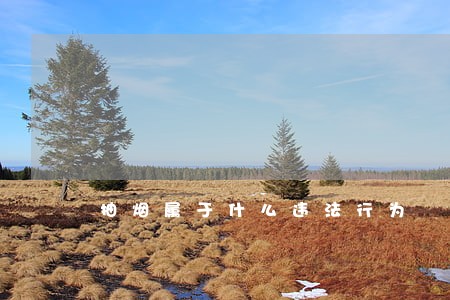 抽烟属于什么违法行为 抽烟属于什么违法行为