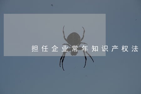 担任企业常年知识产权法律顾问 担任企业常年知识产权法律顾问