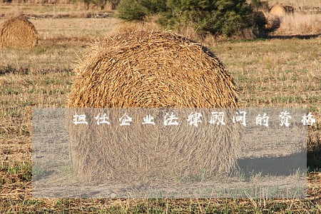 担任企业法律顾问的资格 担任企业法律顾问的资格
