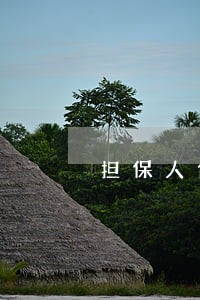 担保人代偿后追偿无须另行诉讼 担保人代偿后追偿无须另行诉讼