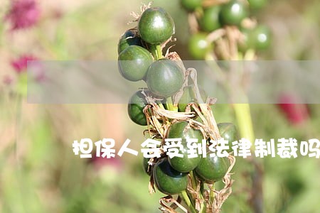 担保人会受到法律制裁吗 担保人会受到法律制裁吗