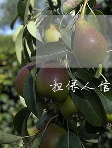 担保人信用卡有过逾期 担保人信用卡有过逾期