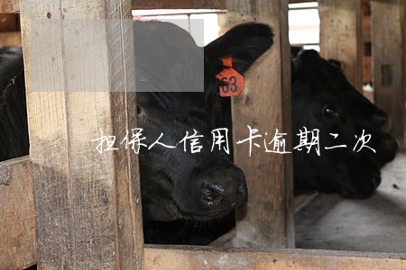 担保人信用卡逾期二次 担保人信用卡逾期二次