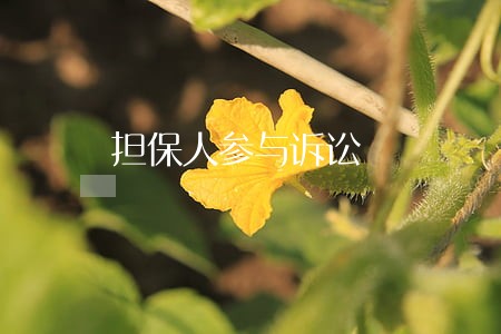 担保人参与诉讼 担保人参与诉讼