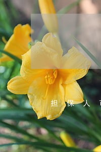 担保人可拒付利息只还本金吗 担保人可拒付利息只还本金吗