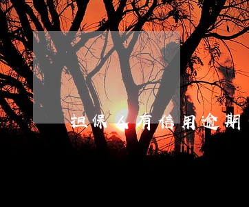 担保人有信用逾期可以担保吗 担保人有信用逾期可以担保吗