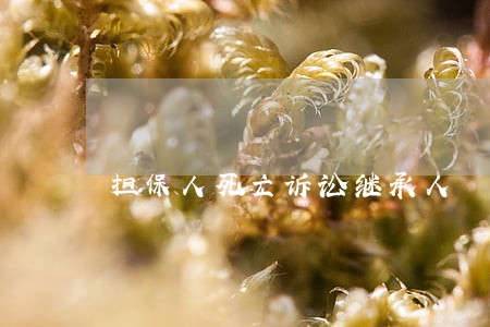 担保人死亡诉讼继承人 担保人死亡诉讼继承人