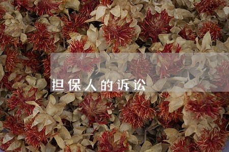 担保人的诉讼 担保人的诉讼