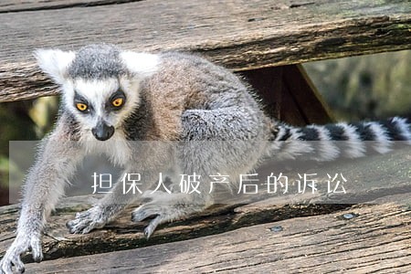 担保人破产后的诉讼 担保人破产后的诉讼