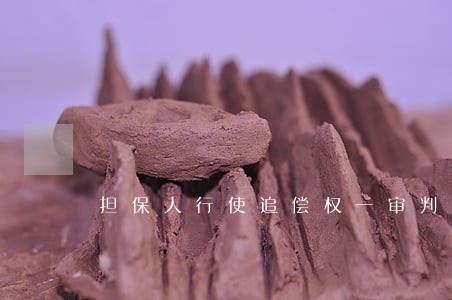 担保人行使追偿权一审判决书