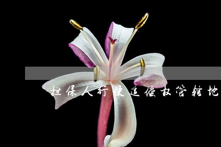 担保人行使追偿权管辖地