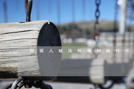 担保人被法院强制执行还款十万元