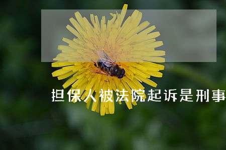 担保人被法院起诉是刑事吗 担保人被法院起诉是刑事吗