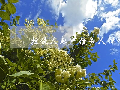 担保人起诉债务人律师费是谁出 担保人起诉债务人律师费是谁出