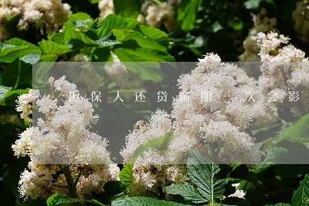 担保人还贷逾期一次会影响信用吗 担保人还贷逾期一次会影响信用吗