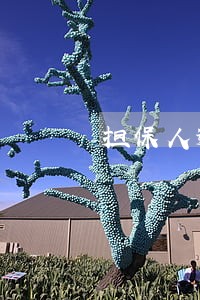 担保人逾期5年了 担保人逾期5年了