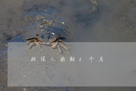 担保人逾期6个月 担保人逾期6个月