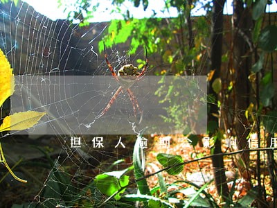 担保人逾期会影响信用记录吗