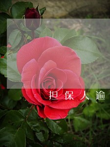 担保人逾期会影响贷款人 担保人逾期会影响贷款人