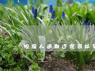 担保人逾期还完可以贷款 担保人逾期还完可以贷款